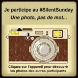 Logo_Silent_Sunday
